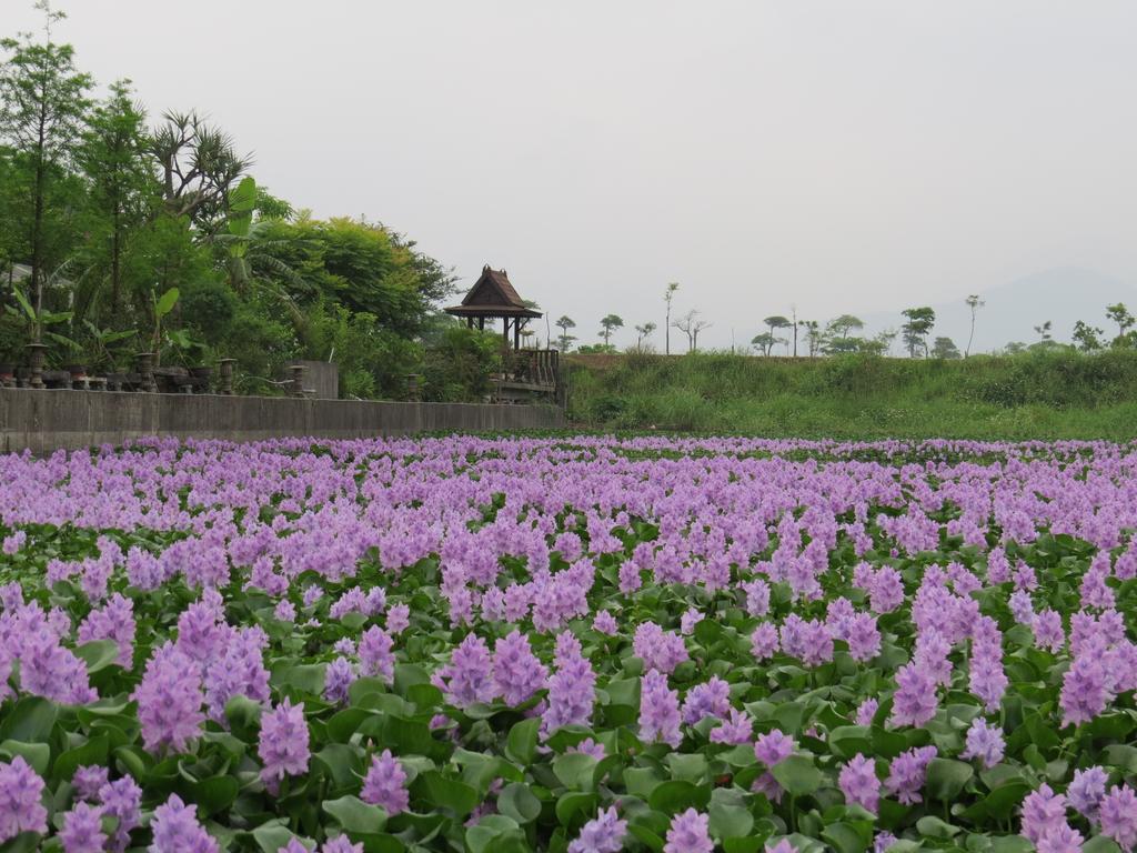 Beautiful Yilan Resort Dongshan  Exterior foto